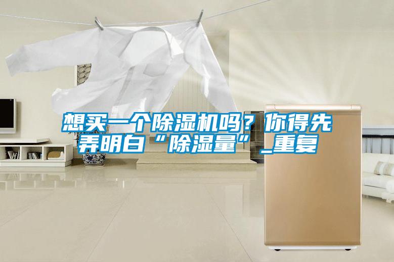 想买一个草莓视频APP在线观看吗？你得先弄明白“除湿量”_重复