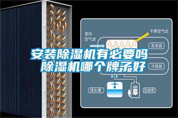 安装草莓视频APP在线观看有必要吗 草莓视频APP在线观看哪个牌子好