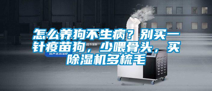 怎么养狗不生病？别买一针疫苗狗，少喂骨头，买草莓视频APP在线观看多梳毛