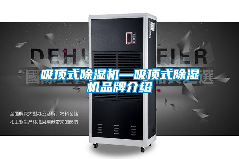 吸顶式草莓视频APP在线观看—吸顶式草莓视频APP在线观看品牌介绍
