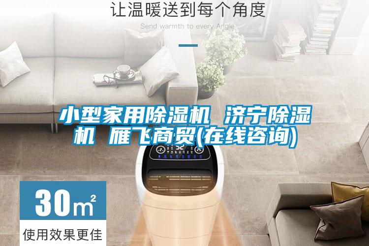 小型家用草莓视频APP在线观看 济宁草莓视频APP在线观看 雁飞商贸(在线咨询)
