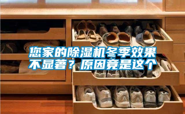 您家的草莓视频APP在线观看冬季效果不显著？原因竟是这个