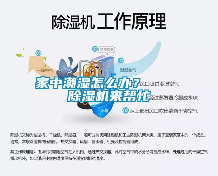 家中潮湿怎么办？    草莓视频APP在线观看来帮忙