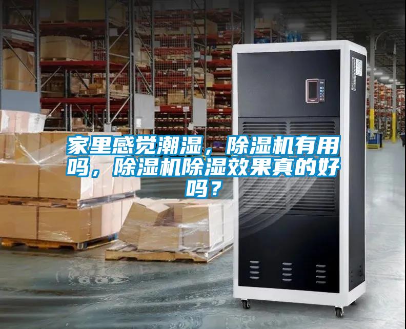 家里感觉潮湿，草莓视频APP在线观看有用吗，草莓视频APP在线观看除湿效果真的好吗？