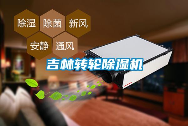 吉林转轮草莓视频APP在线观看