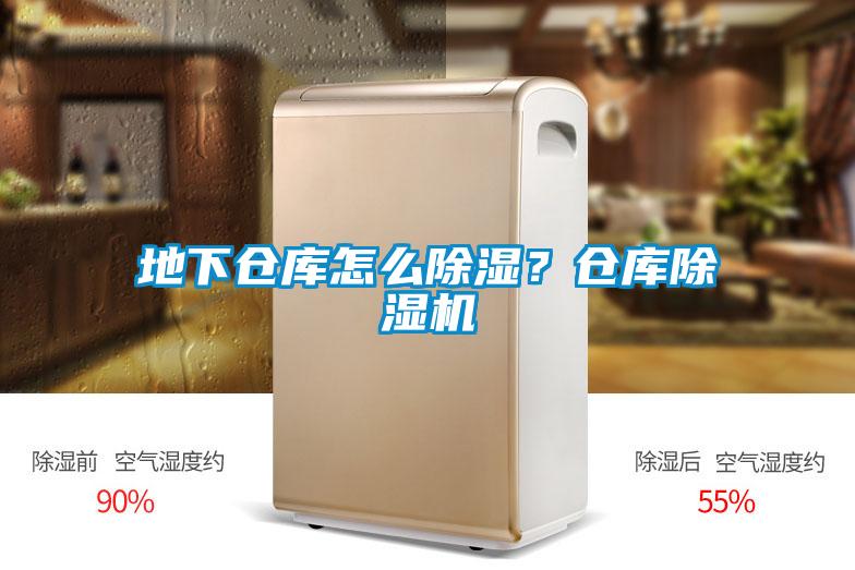 地下仓库怎么除湿？仓库草莓视频APP在线观看