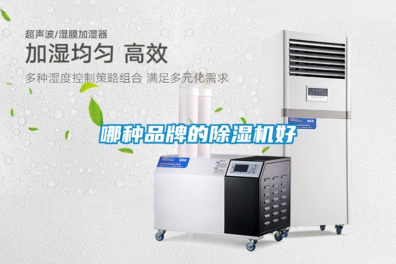 哪种品牌的草莓视频APP在线观看好
