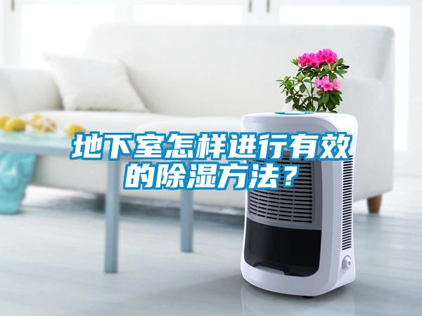 地下室怎样进行有效的除湿方法？