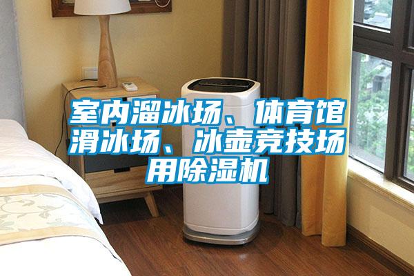 室内溜冰场、体育馆滑冰场、冰壶竞技场用草莓视频APP在线观看