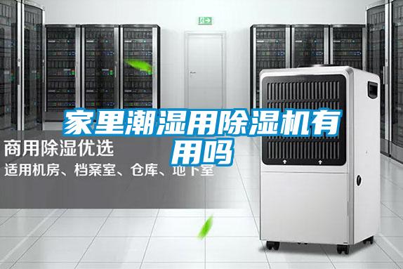 家里潮湿用草莓视频APP在线观看有用吗