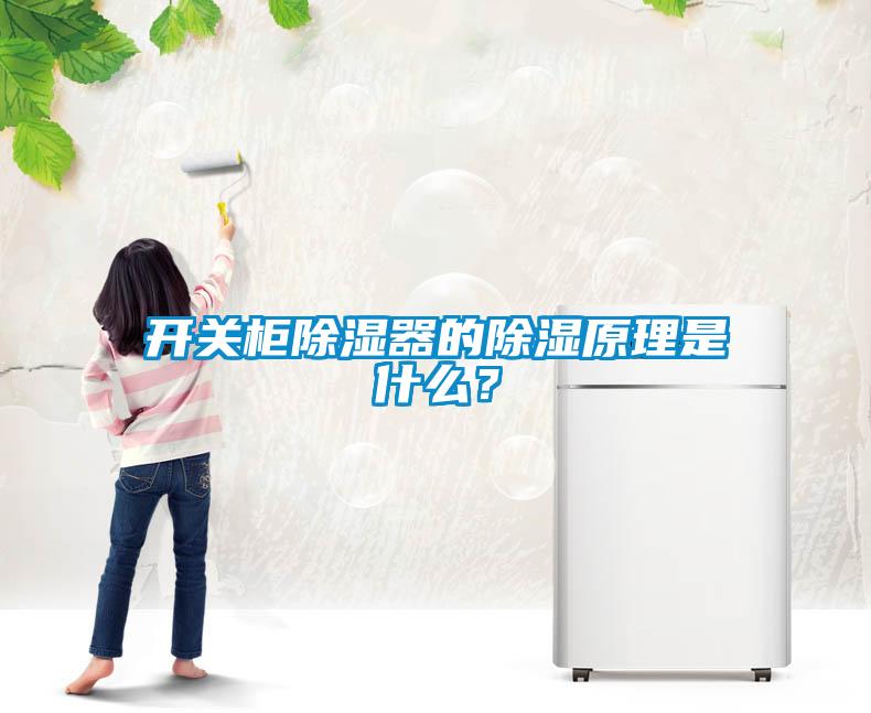 开关柜除湿器的除湿原理是什么？