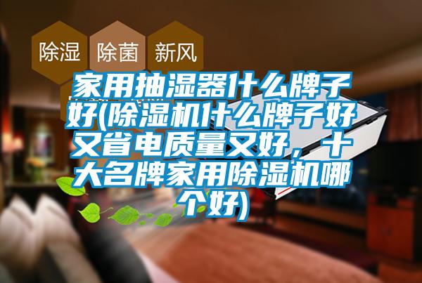 家用抽湿器什么牌子好(草莓视频APP在线观看什么牌子好又省电质量又好，十大名牌家用草莓视频APP在线观看哪个好)
