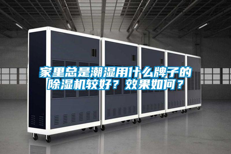 家里总是潮湿用什么牌子的草莓视频APP在线观看较好？效果如何？