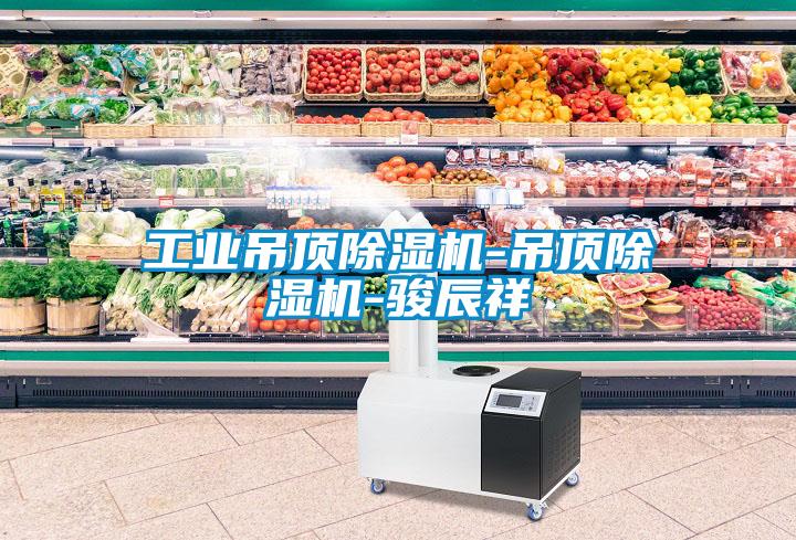 工业吊顶草莓视频APP在线观看-吊顶草莓视频APP在线观看-骏辰祥