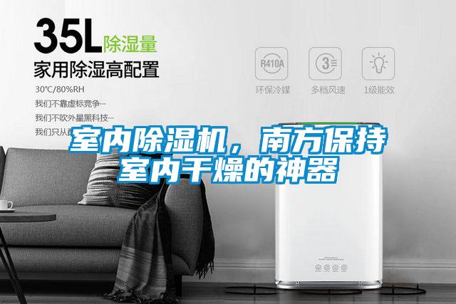 室内草莓视频APP在线观看，南方保持室内干燥的神器