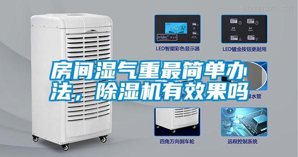 房间湿气重最简单办法，草莓视频APP在线观看有效果吗
