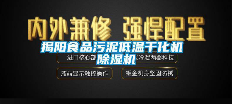 揭阳食品污泥低温干化机 草莓视频APP在线观看