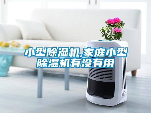 小型草莓视频APP在线观看,家庭小型草莓视频APP在线观看有没有用