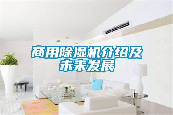 商用草莓视频APP在线观看介绍及未来发展