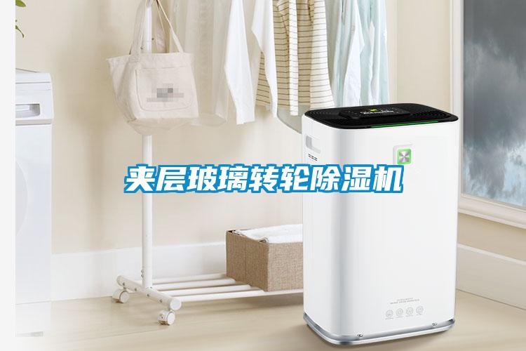 夹层玻璃转轮草莓视频APP在线观看