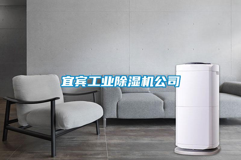 宜宾工业草莓视频APP在线观看公司