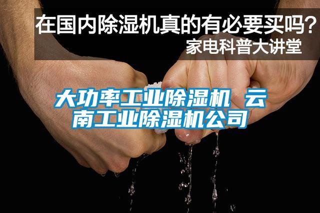 大功率工业草莓视频APP在线观看 云南工业草莓视频APP在线观看公司