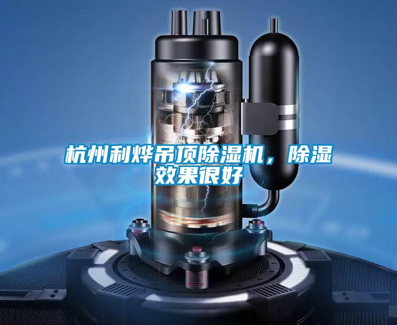 杭州利烨吊顶草莓视频APP在线观看，除湿效果很好