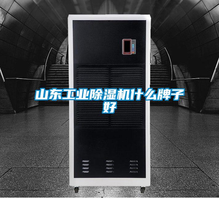 山东工业草莓视频APP在线观看什么牌子好