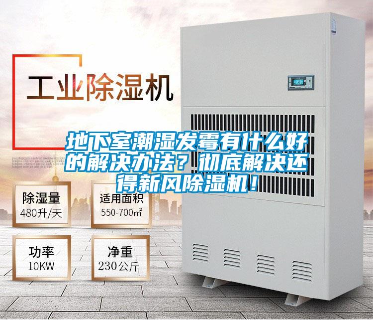地下室潮湿发霉有什么好的解决办法？彻底解决还得新风草莓视频APP在线观看！