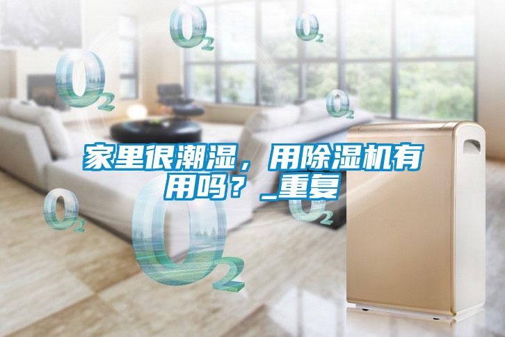 家里很潮湿，用草莓视频APP在线观看有用吗？_重复