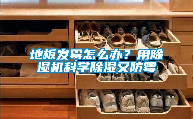 地板发霉怎么办？用草莓视频APP在线观看科学除湿又防霉