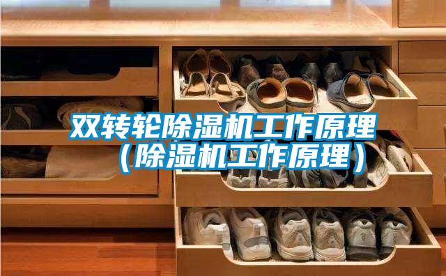 双转轮草莓视频APP在线观看工作原理（草莓视频APP在线观看工作原理）
