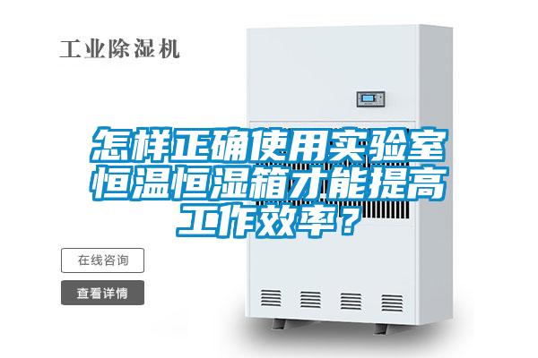 怎样正确使用实验室恒温恒湿箱才能提高工作效率？