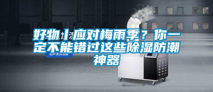 好物丨应对梅雨季？你一定不能错过这些除湿防潮神器