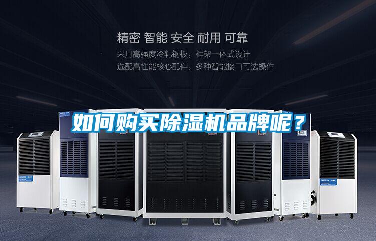 如何购买草莓视频APP在线观看品牌呢？