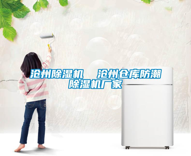 沧州草莓视频APP在线观看  沧州仓库防潮草莓视频APP在线观看厂家
