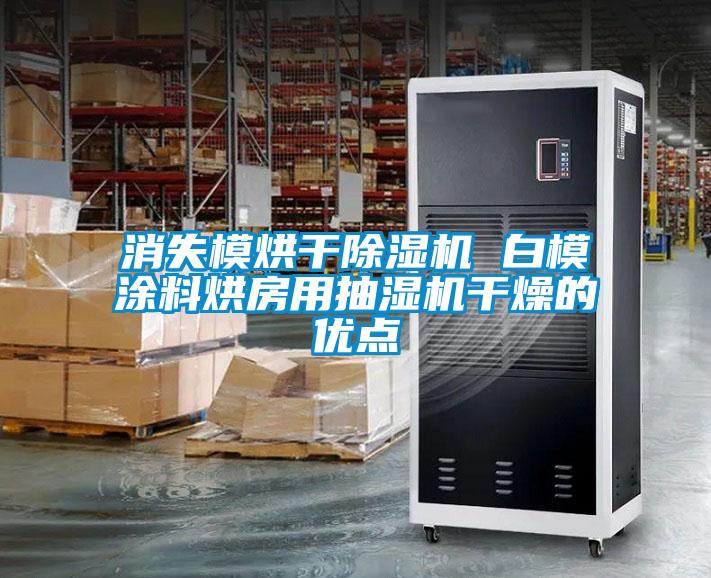 消失模烘干草莓视频APP在线观看 白模涂料烘房用抽湿机干燥的优点