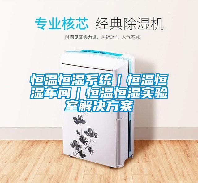 恒温恒湿系统｜恒温恒湿车间｜恒温恒湿实验室草莓成人在线观看