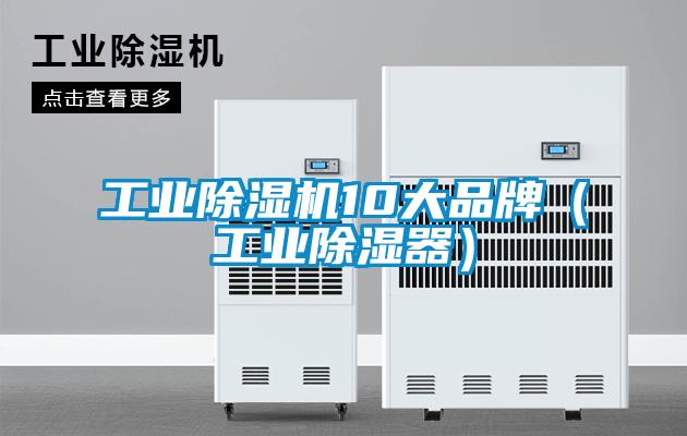 工业草莓视频APP在线观看10大品牌（工业除湿器）
