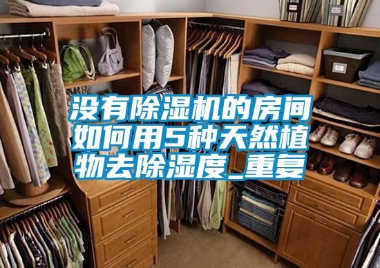 没有草莓视频APP在线观看的房间如何用5种天然植物去除湿度_重复