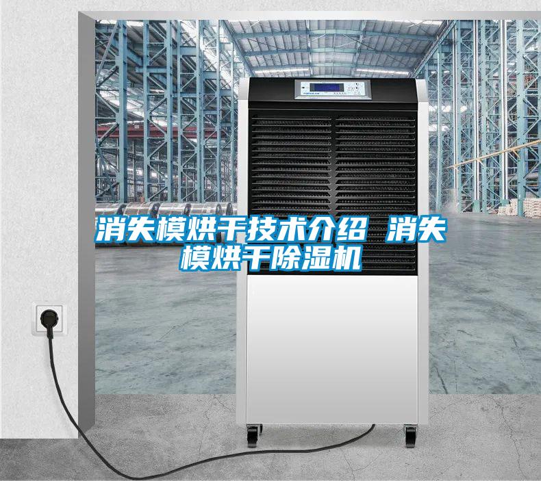 消失模烘干技术介绍 消失模烘干草莓视频APP在线观看