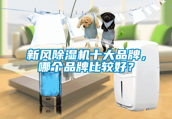 新风草莓视频APP在线观看十大品牌，哪个品牌比较好？