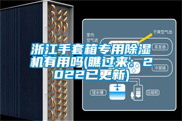 浙江手套箱专用草莓视频APP在线观看有用吗(瞧过来：2022已更新)