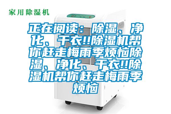 正在阅读：除湿、净化、干衣!!草莓视频APP在线观看帮你赶走梅雨季烦恼除湿、净化、干衣!!草莓视频APP在线观看帮你赶走梅雨季烦恼