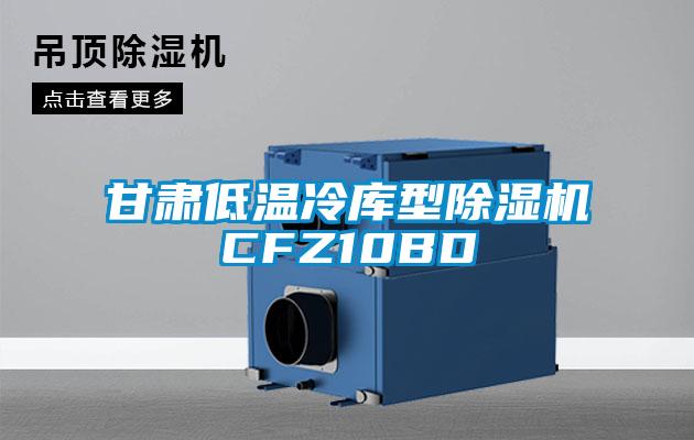 甘肃低温冷库型草莓视频APP在线观看CFZ10BD