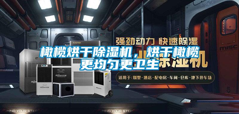 橄榄烘干草莓视频APP在线观看，烘干橄榄更均匀更卫生