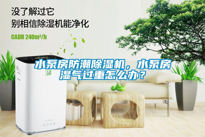 水泵房防潮草莓视频APP在线观看，水泵房湿气过重怎么办？