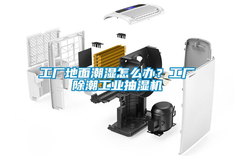 工厂地面潮湿怎么办？工厂除潮工业抽湿机