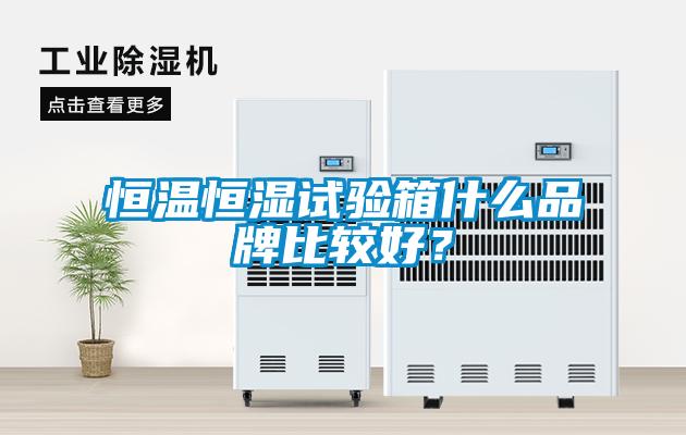 恒温恒湿试验箱什么品牌比较好？