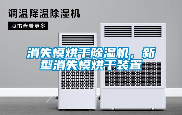 消失模烘干草莓视频APP在线观看，新型消失模烘干装置